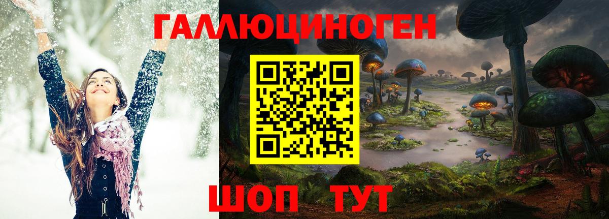 Галлюциногенные грибы мицелий  Вход с VPN  Черкесск  Псилоцибиновые грибы GOLDEN TEACHER 